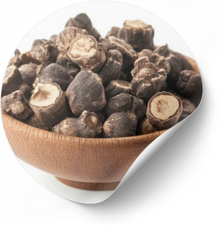 Maca Root Extract